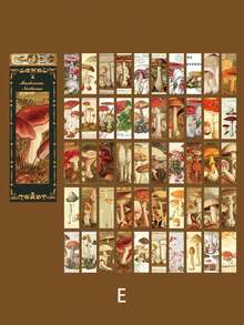 復古藝術日記材料裝飾貼紙 - 彩色 - 查看 10