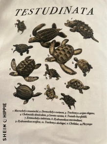 Women T-Shirts - 香檳色 - 查看 3