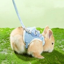 1pc Cute Bear Pet Leash & Harness Set Chest Back Strap Breathable Vest Anti-escape Traction Rope Adjustable Collar Suitable For Small And Medium Cats, Dogs And Rabbits 120cm - Blue - View 2