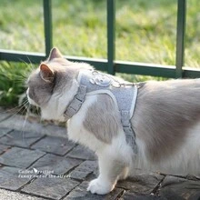 1pc Cute Bear Pet Leash & Harness Set Chest Back Strap Breathable Vest Anti-escape Traction Rope Adjustable Collar Suitable For Small And Medium Cats, Dogs And Rabbits 120cm - Blue - View 7