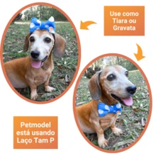 Pet Bows & Ties - 藍色 - 查看 4