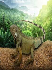 Sustrato de Coco 100% Polvillo - Caqui - Ver 3