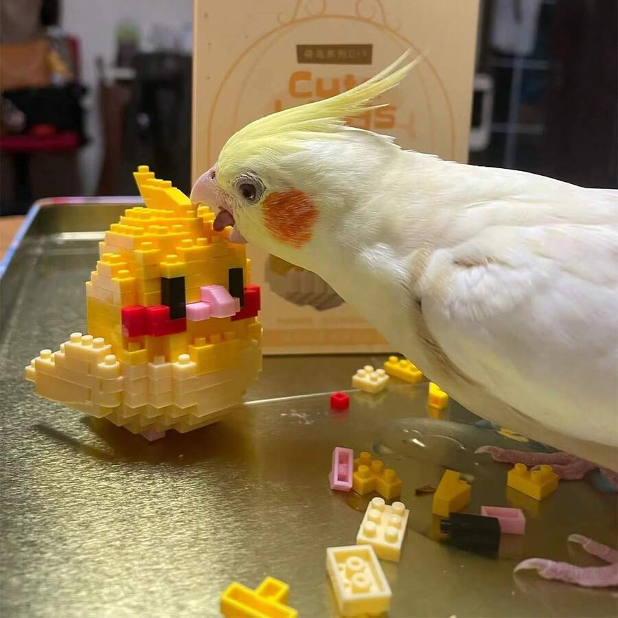 Juguete Creativo De Montaje De Bloques De Construcción Micro Pájaro Animal De Dibujos Animados Diy