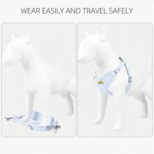 1 dây nịt thú cưng trơn & 1 dây xích - Màu xanh nhạt - Xem 10