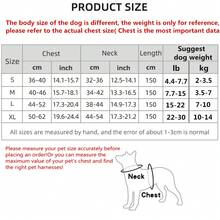 1 dây nịt thú cưng trơn & 1 dây xích - Màu xanh nhạt - Xem 4