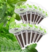 200pcs Hydroponic Garden Accessory Pod Kit Including Grow Baskets, Transparent Insulation Lids, Plant Grow Sponges And Labels For Seed Starting System,Garden Tools, Gardening Tools For Garden - White - View 1