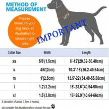 Màu thuần Vòng cổ ( Giường đơn Vòng cổ ) Cái vòng Pet - trắng - Xem 2