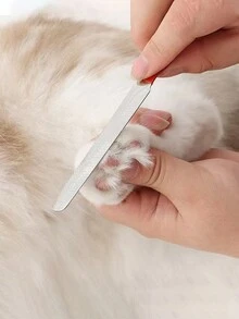 Universal Straight Handle Stainless Steel Nail Clipper Set For Cats And Dogs - Multicolor - View 4