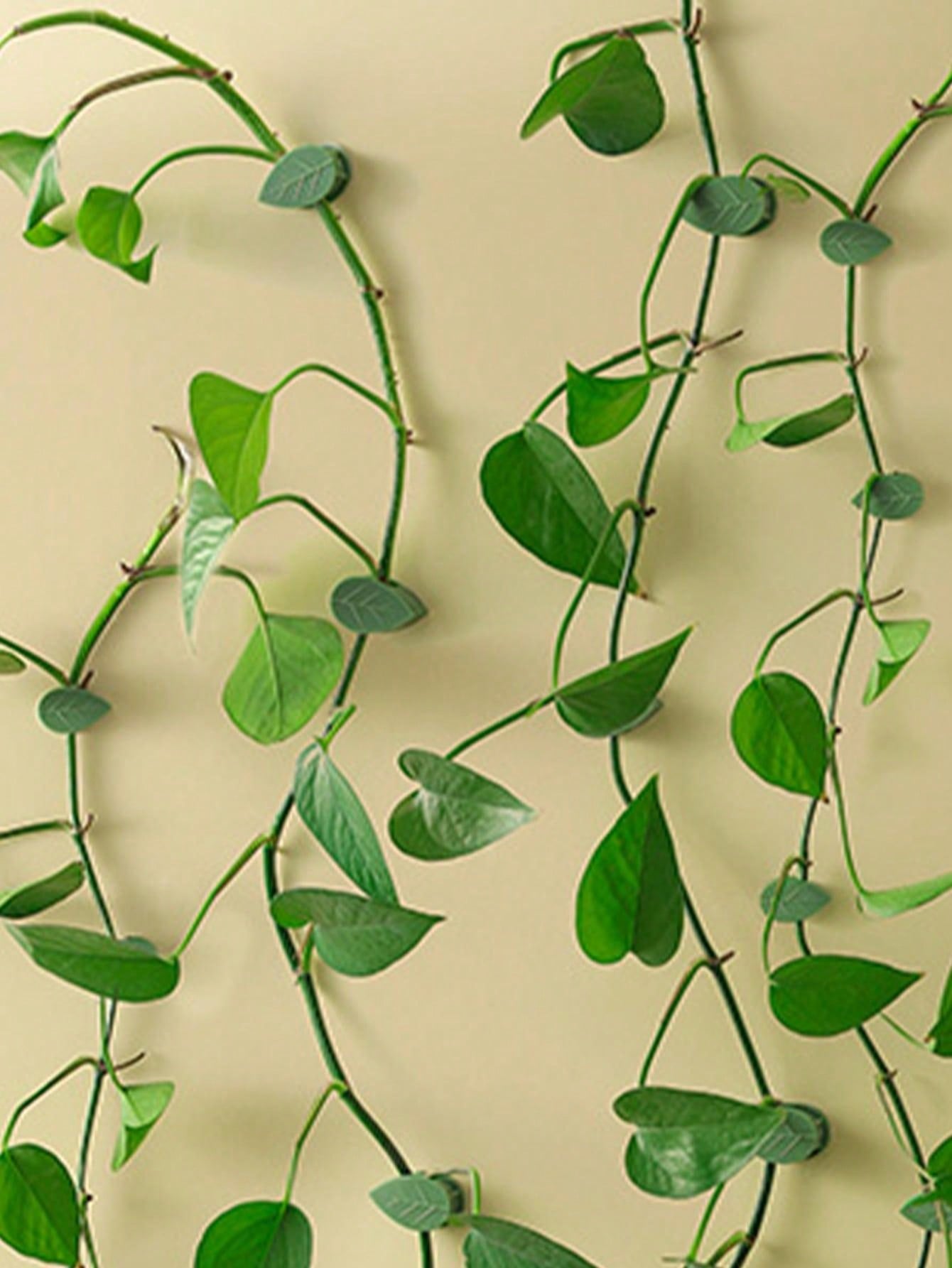 Indoor NoNail SelfAdhesive Hook For Climbing Plants And Vines