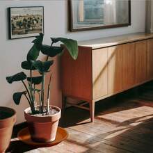 6 件装，12 英寸花盆托盘，12 英寸圆形重型塑料花盆托盘，盆栽托盘，室内花盆托盘，鸟浴盆，花盆托盘 6 英寸/8 英寸/10 英寸//12 英寸（赤陶色） - 杏色 - 查看 9