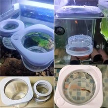 1件塑料魚卵孵化器,用於胎生魚和孔雀魚的繁殖。這種胎生魚隔離箱可用於孵化和保護魚缸中的小魚,對於孔雀魚的繁殖非常有助益。懸掛式設計易於使用,並具有水族網和母魚產房的功能。 - 白色 - 查看 9