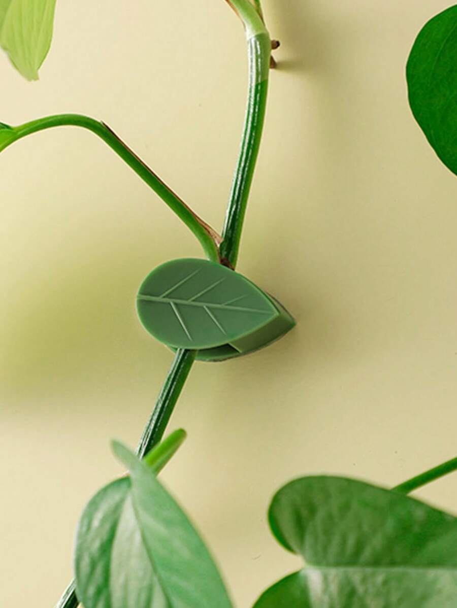 Indoor NoNail SelfAdhesive Hook For Climbing Plants And Vines