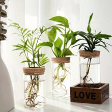 1個水培植物桌面玻璃花瓶,適用於家居裝飾、植物繁殖站花瓶,桌上水培植物瓶適用於客廳桌面裝飾或辦公室 - 無色 - 查看 1