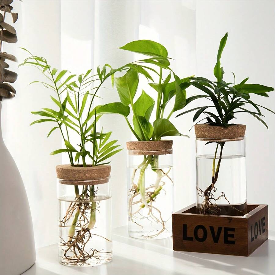 1個水培植物桌面玻璃花瓶,適用於家居裝飾、植物繁殖站花瓶,桌上水培植物瓶適用於客廳桌面裝飾或辦公室 - 無色 - 查看 1