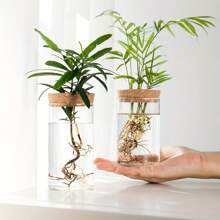 1個水培植物桌面玻璃花瓶,適用於家居裝飾、植物繁殖站花瓶,桌上水培植物瓶適用於客廳桌面裝飾或辦公室 - 無色 - 查看 4
