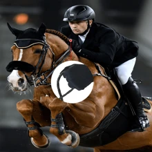 1pair Unisex Full Season Gloves For Horse Riding, Running, Outdoor Activities, Driving, Cycling, Exercise, Gardening