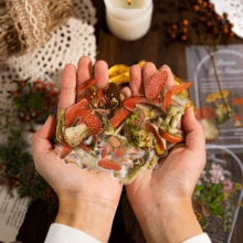 Pegatinas De Setas Del Bosque - Beis - Ver 5