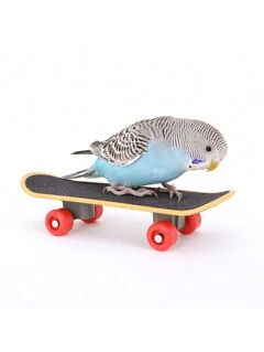 مستلزمات الحيوانات الأليفة