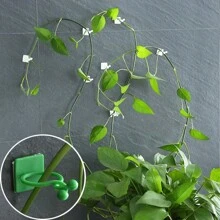 10入組綠色植物固定夾藤蔓攀爬鉤,鐵絲夾子,棚架枝形扣 - 彩色 - 查看 2