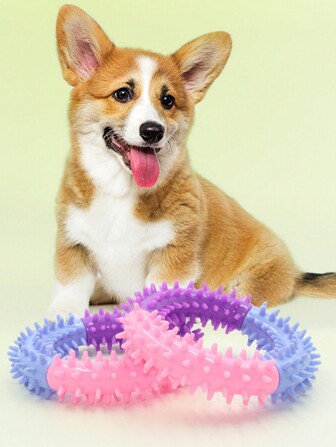 1pc Colorblock Pet Chew Toy, Multi-Color Stitching Spikes Ring Toy, Dog Teething Training Bite Resistant Chew Toys