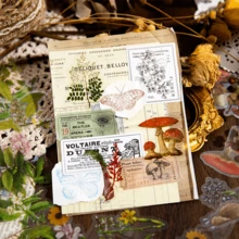 Pegatinas De Setas Del Bosque - Beis - Ver 4