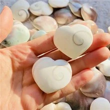 1入流行的白色貝殼心形和圓形自然礦物水晶寶石,穩定情緒家庭裝飾 - 愛心貝殼1pc - 查看 9