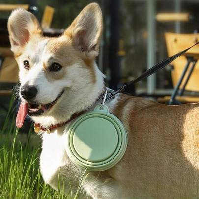 Foldable Silicone Pet Bowl, Portable Outdoor Dog/Cat Feeding Bowl With Carabiner For Travel Water Bottle Camping