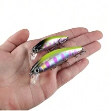 鮊魚釣魚誘餌轉軸硬式人工餌塑料魚餌釣魚餌 - 彩色 - 查看 6