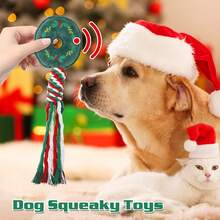 白綠色聖誕狗咀嚼玩具套裝,2入組聖誕狗繩玩具,發出聲音的訓練玩具,聖誕老人狗毛絨互動玩具,適用於小型狗的牙齒玩具