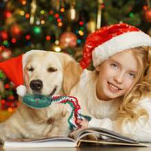 白綠色聖誕狗咀嚼玩具套裝,2入組聖誕狗繩玩具,發出聲音的訓練玩具,聖誕老人狗毛絨互動玩具,適用於小型狗的牙齒玩具