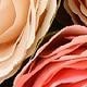 Coral Pink