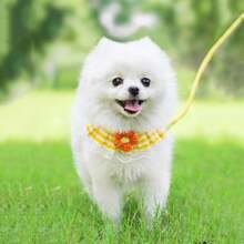 1pc Comfortable And Safe Pet Harness With Leash, Suitable For Cats And Small Dogs - Yellow - View 2