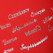 12 Pcs Silver Zodiac Nail Charms 3D Zodiac Nail Charms For Acrylic Nail Alloy Zodiac Sign Virgo Leo Aries Taurus Gemini Capricorn Diy Nail Art Decoration Accessories Nail Gems Nail Supplies Nails - Silver - View 6