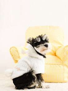 1pc Pet Transforming Sheep Costume With Plush, Outdoor Clothes For Small Dogs - White - View 5