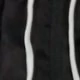 Preto e Branco