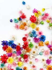 1 bolsa de pequeñas flores secas y coloridas elegantes para hacer jabón, joyería de resina y velas caseras DIY