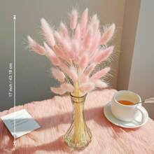 60 件天然粉色蒲苇干兔尾巴，适用于波西米亚风装饰、家居婚礼 DIY 工艺装饰、圣诞节感恩节新年和春节礼物装饰、秋季装饰、秋季 - 粉色 - 查看 2