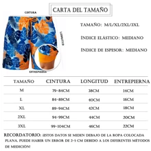 Men's Beach Shorts Men's Swimsuit Shorts Swimsuits