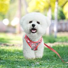 3Pcs/Set Dog Leash, Harness & Poop Bag Holder, Reflective Breathable Camouflage Design - Red Camo