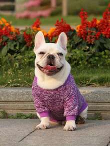 Thú cưng Mùa thu Và Mùa đông mới Chó Và Mèo Hoodie Đối với Nhỏ bé Và Trung bình Chó - Màu tím - Xem 3