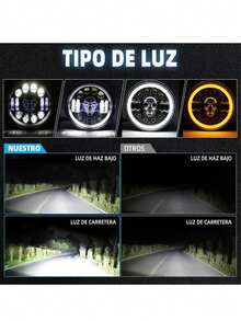 Bulbs - Black - View 3