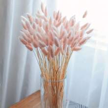 60 件天然粉色蒲苇干兔尾巴，适用于波西米亚风装饰、家居婚礼 DIY 工艺装饰、圣诞节感恩节新年和春节礼物装饰、秋季装饰、秋季 - 粉色 - 查看 5