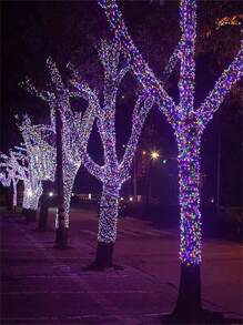 Holiday Lighting - Nhiều màu - Xem 4