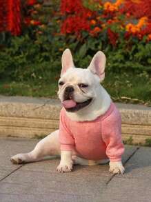 秋冬新款寵物法國鬥牛犬和哈巴狗/貓連帽衫,適用於小型和中型犬種 - 粉色 - 查看 5