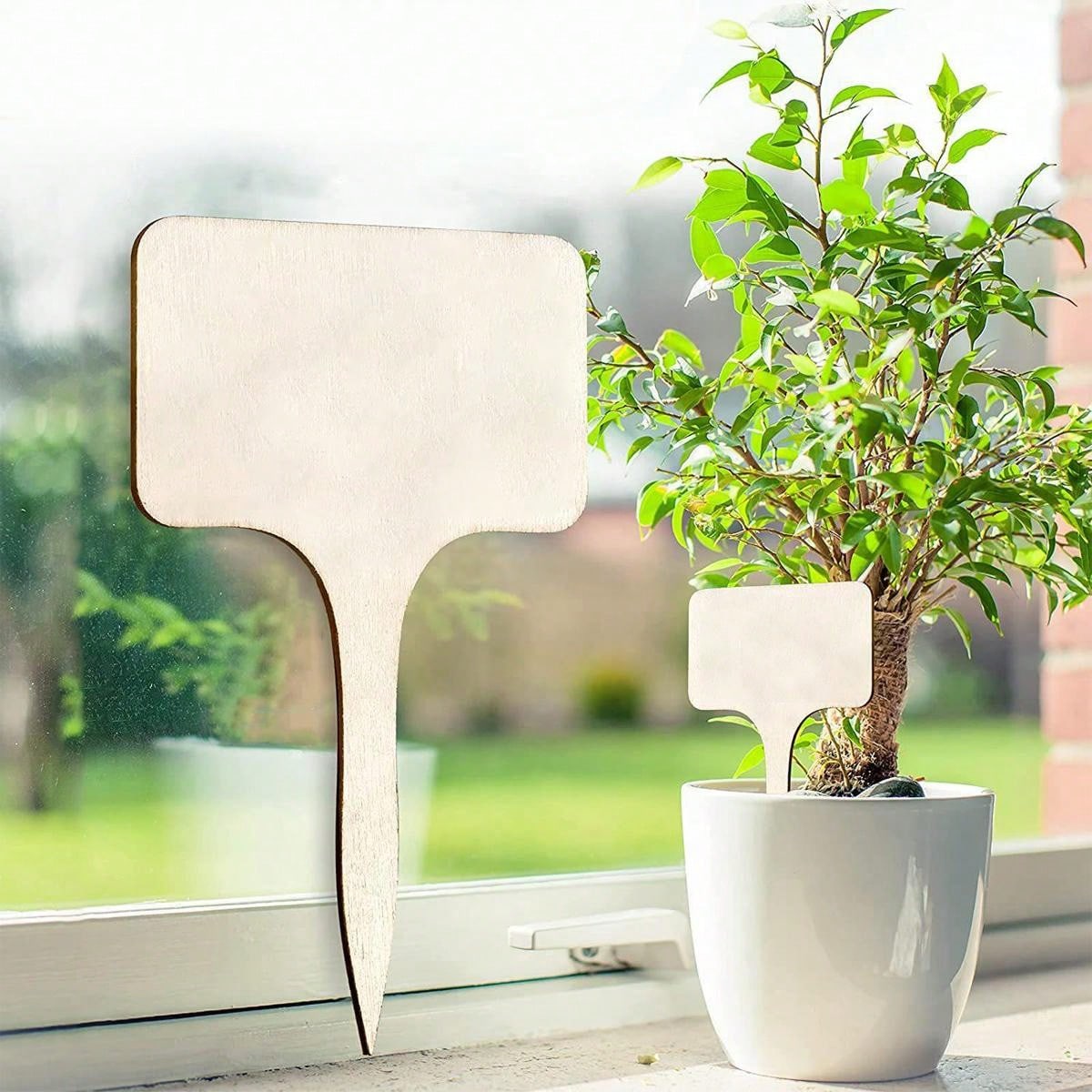 50 Pièces Stake De Plante En Bois Vert Bâton De Jardin En