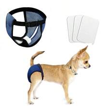 Thú cưng Vệ sinh Quần lót không đường may - Màu xanh hải quân - Xem 5