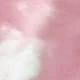 Rosa chiclete
