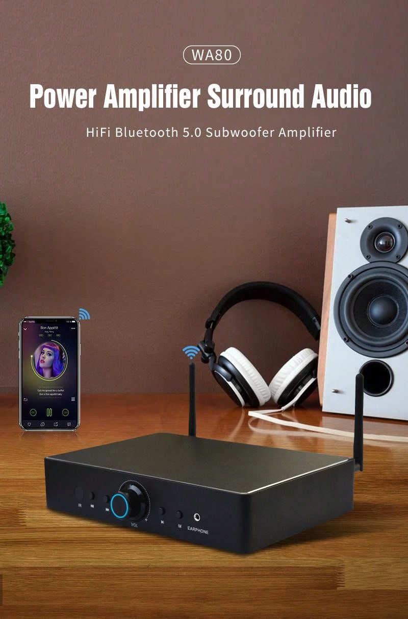 WA80 110V 60W*2 ESS9023 HiFi Stereo Class D Digital MultiRoom