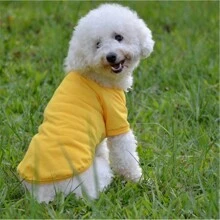 Nueva ropa para mascotas de primavera-verano, Polo para perros Teddy, ropa para perros pequeños - Multicolor - Ver 7