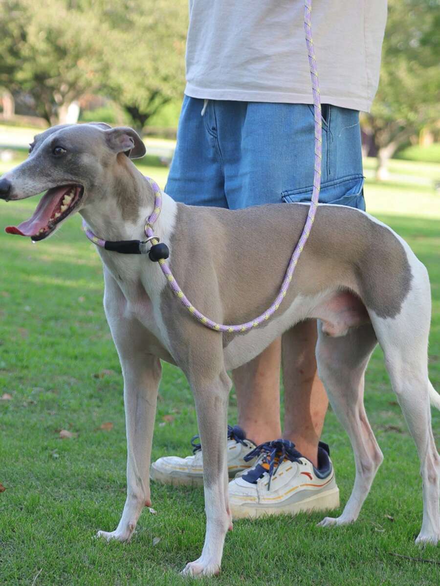 1pc Pet Leash Bag With Anti-explosion Rope & Night Reflective Design, Suitable For Small Medium And Large Dogs - Purple - View 1